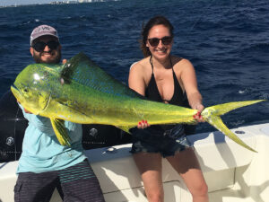 Colorful dolphin caught near Miami Beach.