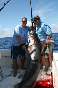 Big swordfish boated near Miami.
