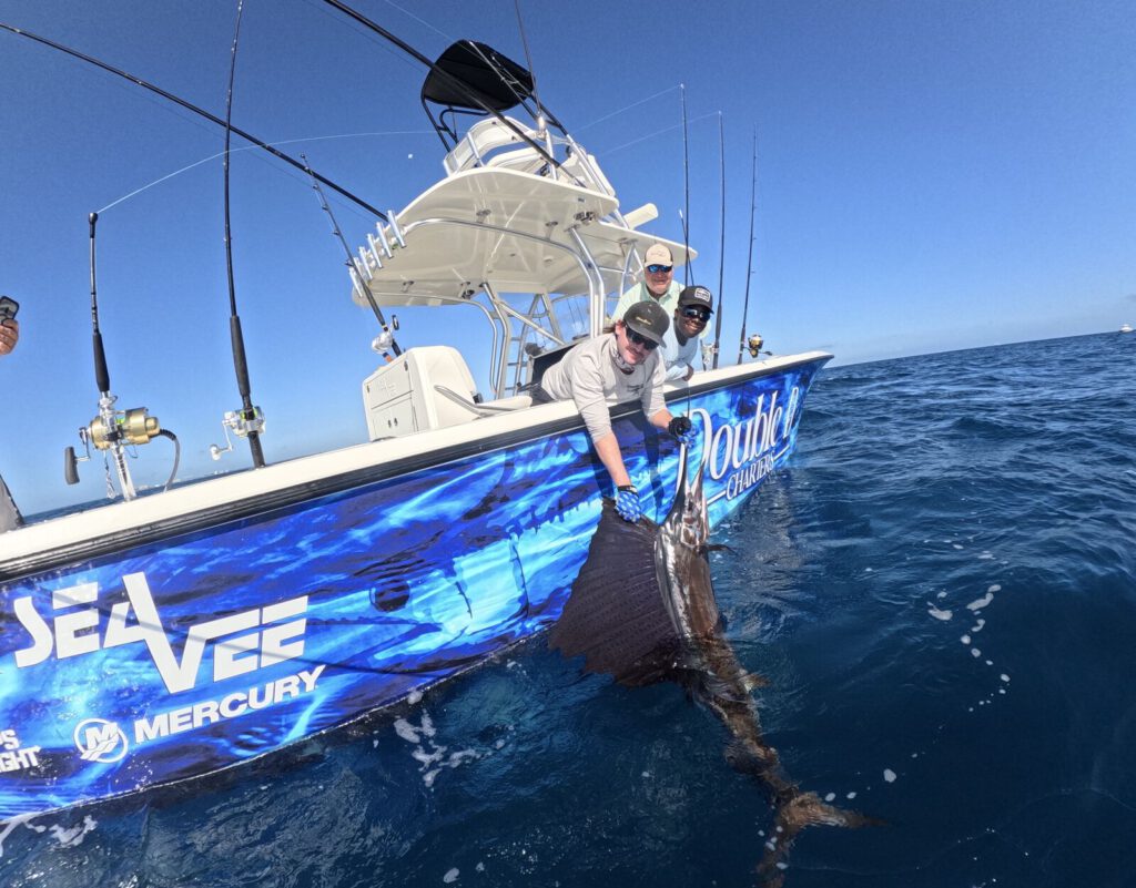 Sailfish release